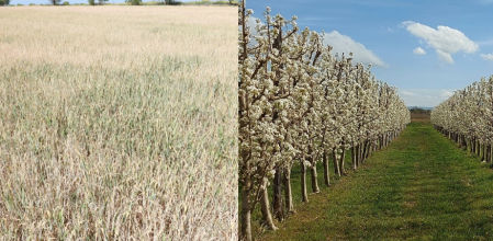 Contraste de paisajes en el Urgell.