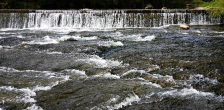 Siguiendo el camino Vora Ter.