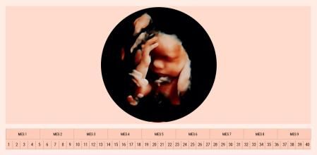 Deberás prestar atención a los movimientos del bebé y acudir al hospital si hay ausencia de estos.