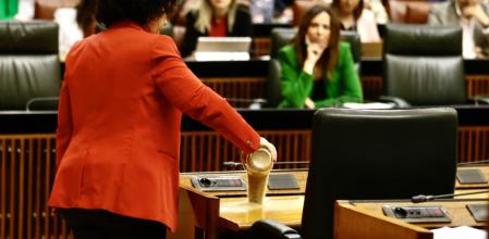 Andalucía desoye a la UE y avala los regadíos ilegales en Doñana