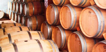 Bodegas Can Josep Vins