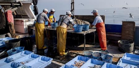 La colaboración altruista de los pescadores es esencial en el éxito del proyecto de recogida de residuos en el mar Upcycling The Oceans  .