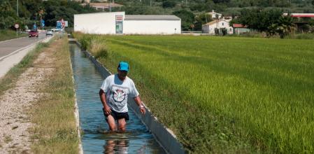 Una inmensa red de canales hace llegar el agua hasta las 21.000 hectáreas de arrozales deltaicos