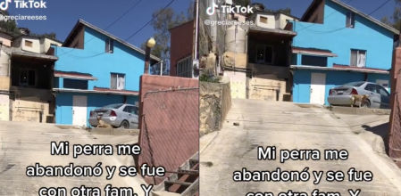 La perra que ha abandonado su hogar para irse con una nueva familia y se esconde de sus antiguos dueños
