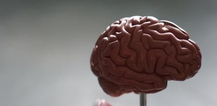 Estos divulgadores de contenido son psicólogos que tratan desde un punto de vista científico diferentes temas de actualidad.