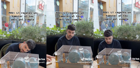 La hilarante reacción de un joven al ver que sus amigos le han regalado un hámster en su cumpleaños