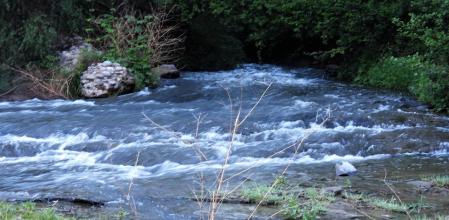 Crecida del río Ter a su paso por Torelló.