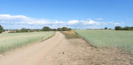 Reto visual: ¿Dónde está la luna?