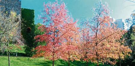 El Parque de Vallparadís de Terrassa.