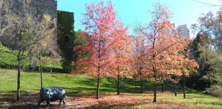 Zona verde
La reducción de la contaminación y la apuesta por espacios verdes, como el parque de Vallparadís, es un objetivo que comparten todos los candidatos