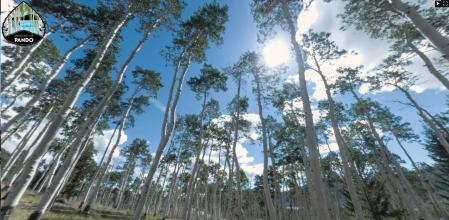 Detalle de una de las imágenes interactivas, de 360º, que se pueden ver en la página especializada dedicada a Pando  .
