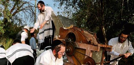 Ultra-Orthodox Jews thresh wheat to be stored for making Matzoth,(unleavened bread) for next year's Pesach or Passover holiday, near the Israeli city of Modiin on May 17, 2023. Religious Jews throughout the world eat matzoth during the eight-day Pesach, which according to Jewish belief commemorates the Israelites' exodus from Egypt some 3,500 years ago. (Photo by MENAHEM KAHANA / AFP)