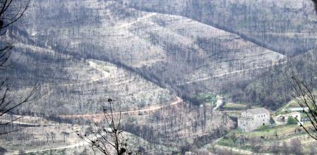 El incendio del Puente de Vilomara y Rocafort, en el Bages, fue el mayor del año pasado y afectó a más de 1.700 hectáreas