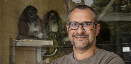 Tomàs Marquès-Bonet, coordinador del proyecto, en el zoo de Barcelona