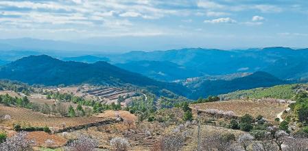 paisatge mosaic Priorat