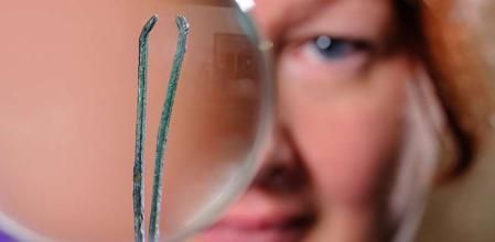 Las arqueólogos descubrieron más de 50 pinzas en Wroxeter