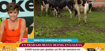 Sonsoles Ónega hablando sobre el 'tiktoker de vacas' durante su programa '¿Y ahora Sonsoles?'