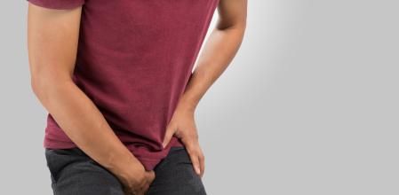 Cuando la vejiga está llena el cerebro recibe la orden para orinar