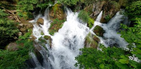 Fonts del Llobregat.