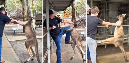 Buckley estaba decidido a seguir peleando