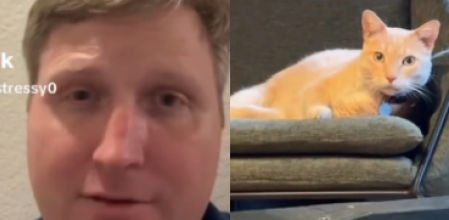 Descripción de la imagen