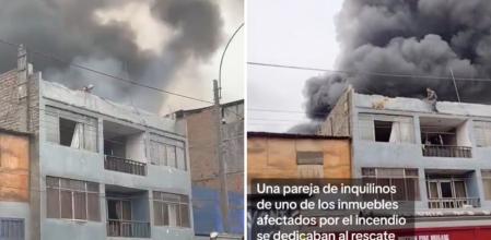 Imagen del rescate improvisado de 25 perros