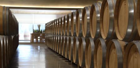 Una sala de elaboración en barricas&nbsp;