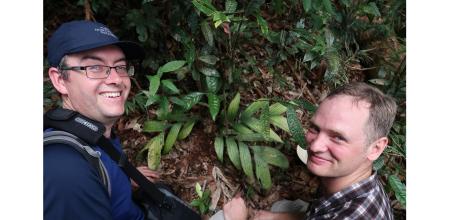 William Baker (izq.) y Peter Petoe, coautores del estudio, junto a un ejemplar de la palmera 'P.subterranea'