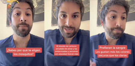 Esta es la razón por la que te pican solo a ti los mosquitos según un farmacéutico