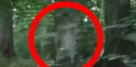 Captación del momento