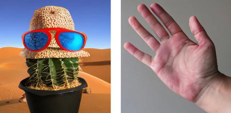 Dos ejemplos de imágenes generadas con CM2leon