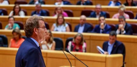 Pleno Senado Debate Presidente del Gobierno, Pedro Sanchez y Presidente del Partido Popular P￼.P, Alberto Núñez Feijóo.