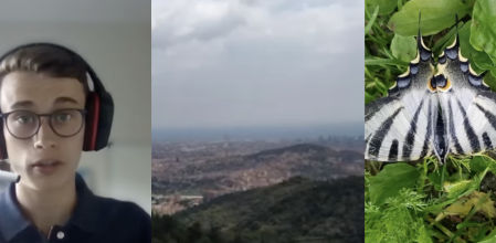 Jorge Rey lanza una advertencia sobre este insecto clave en agosto para saber cómo será el próximo invierno en España