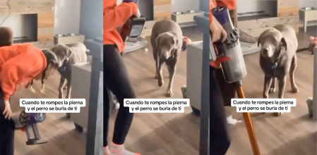 perro imita dueño