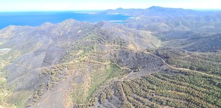 Los Bomberos de la Generalitat siguen trabajando para evitar que se reavive el fuego en Portbou