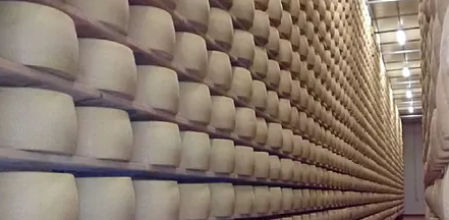 Las estanterías de la granja, repletas de quesos