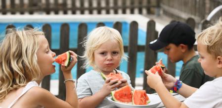 Las sandías contaminadas objetivo de la alerta fueron distribuidas sin que pudieran ser destruidas