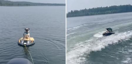 Levi practicando kneeboarding