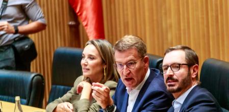 El presidente del PP junto a los que han sido sus portavoces en el Congreso y en el Senado, en la última legislatura