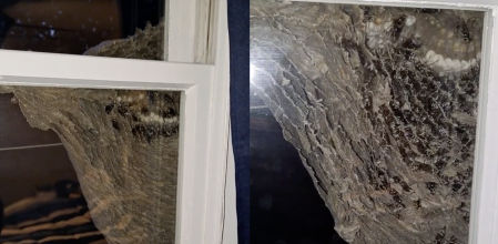 Se va de vacaciones y cuando vuelve se encuentra un enorme enjambre de abejas en su ventana: “Espero que esté bien sellada”