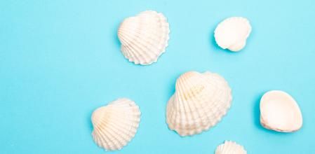 Las velas de conchas de mar son una forma artesanal y original de hacer velas.