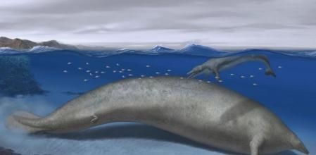 Encuentran los restos del animal más pesado que ha existido en la Tierra con más de 340 toneladas