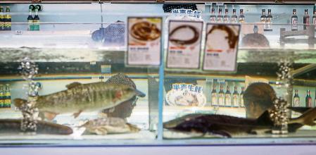 Beijing (China), 24/08/2023.- Customers are seen through an aquarium at the fresh seafood section of a supermarket in Beijing, China, 24 August 2023. Chinese Foreign Ministry spokesperson said his country 'firmly opposes and strongly condemns' Japan's release of the Fukushima nuclear-contaminated water into the ocean despite the strong criticism and opposition from the international community, adding that Beijing 'made serious demarches to Japan and asked it to stop this wrongdoing'. On 24 August in the early afternoon, plant operator Tokyo Electric Power Company Holdings Inc. (TEPCO) started the discharge of treated radioactive water from the Fukushima nuclear power plant into the Pacific Ocean despite opposition of local fishermen and some neighboring countries. It shall take as long as 30 years to complete the release of the treated radioactive water from more than 1,000 tanks. (Japón, Tokio) EFE/EPA/MARK R. CRISTINO