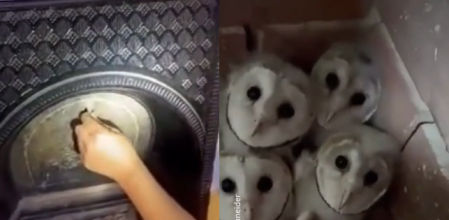 La sorpresa dentro de la chimenea fue mayúscula