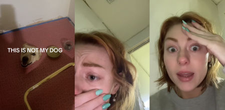 Se despierta de madrugada por un ruido en su casa y se lleva un susto terrible al ver lo que hay: “¿Cómo ha llegado aquí?”