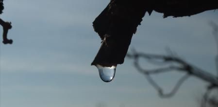 La estrella atrapada en una gota de agua.