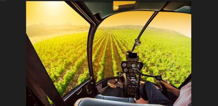 Vigilancia de viñedos en el valle de Napa, en Califonia  .