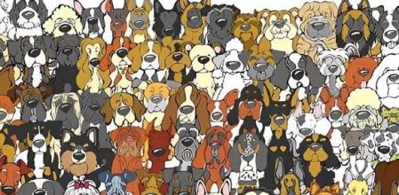 Reto visual: ¿Eres capaz de encontrar al panda escondido entre los perros en 4 segundos?