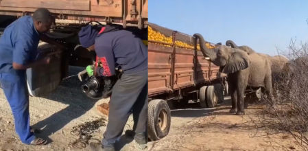 Los trabajadores continuaron arreglando el vehículo.