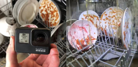 El creador ha mostrado una escena cotidiana gracias a su cámara.